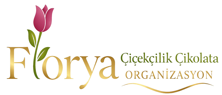 Kahramanmaraş Organizasyon